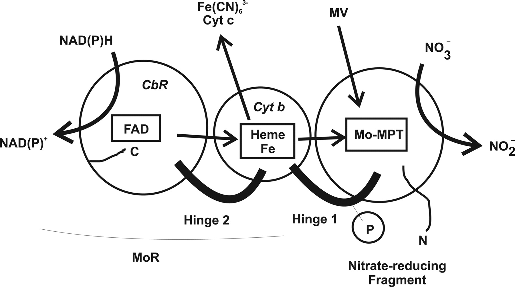 NaR Schematic