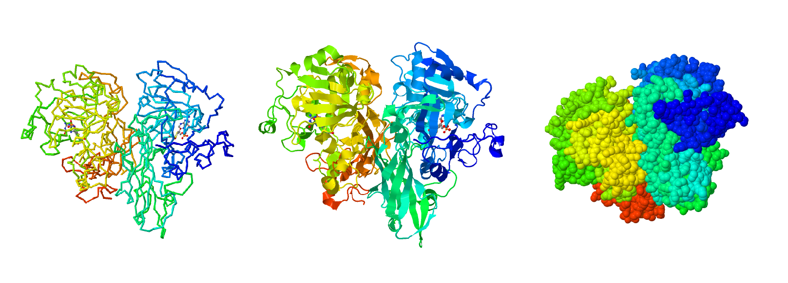 enzyme structures