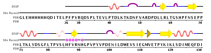 sequence image