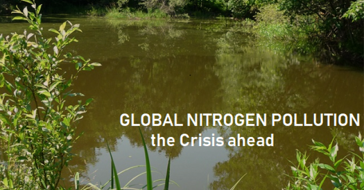 <a href="/global-nitrogen-pollution-crisis">Global Nitrogen Pollution Crisis</a>